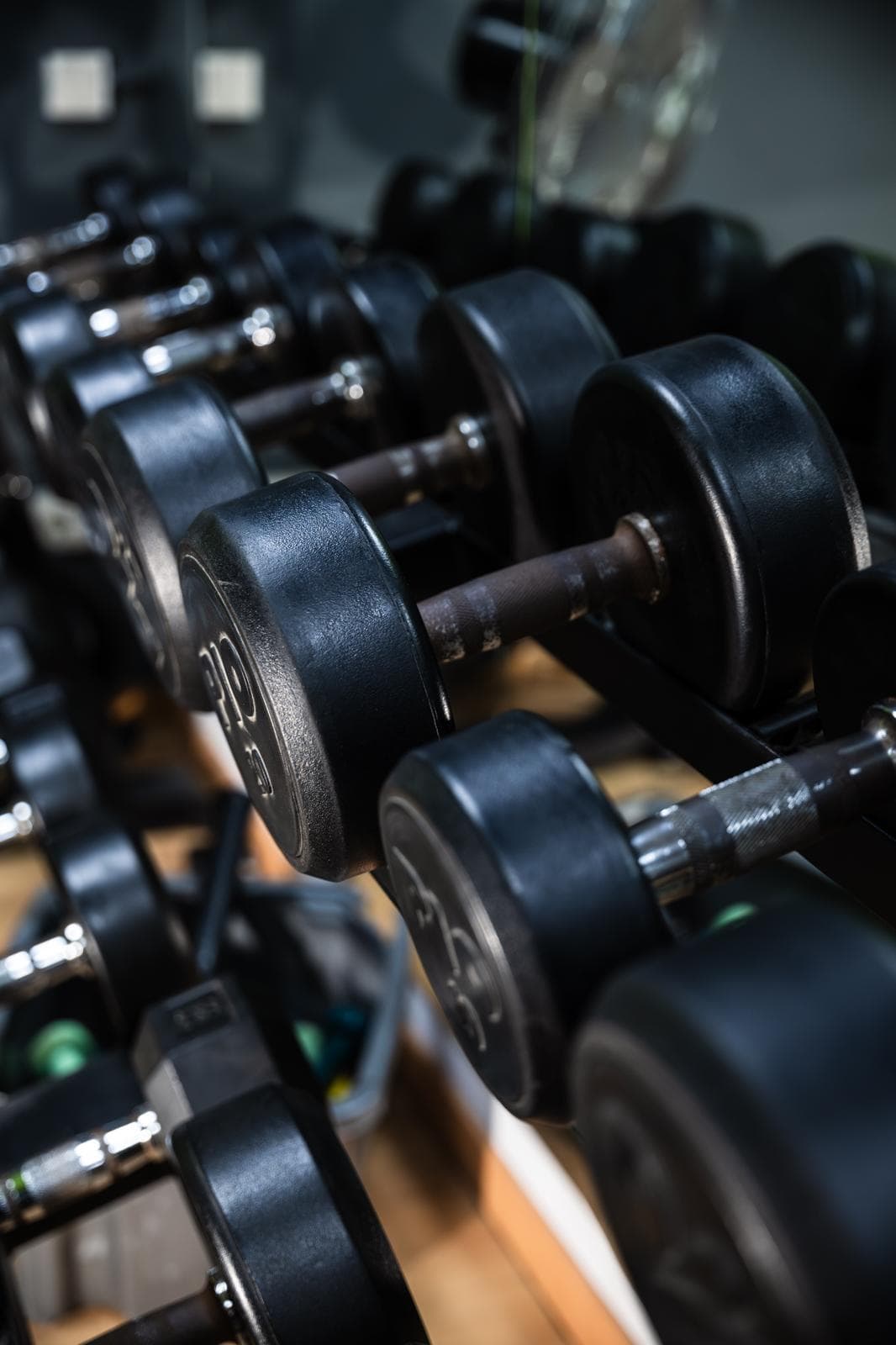 Mancuernas de la sala de pesas